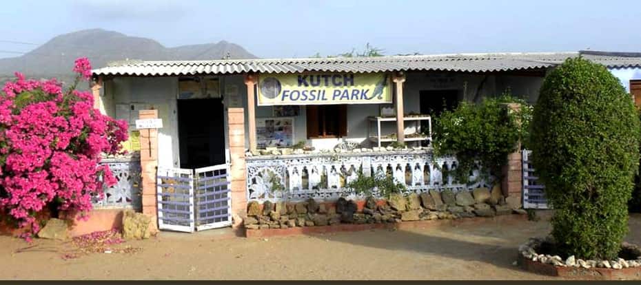 Kutch Fossils Park, Kutch 1